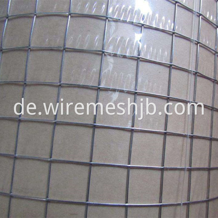 Welded Wire Mesh